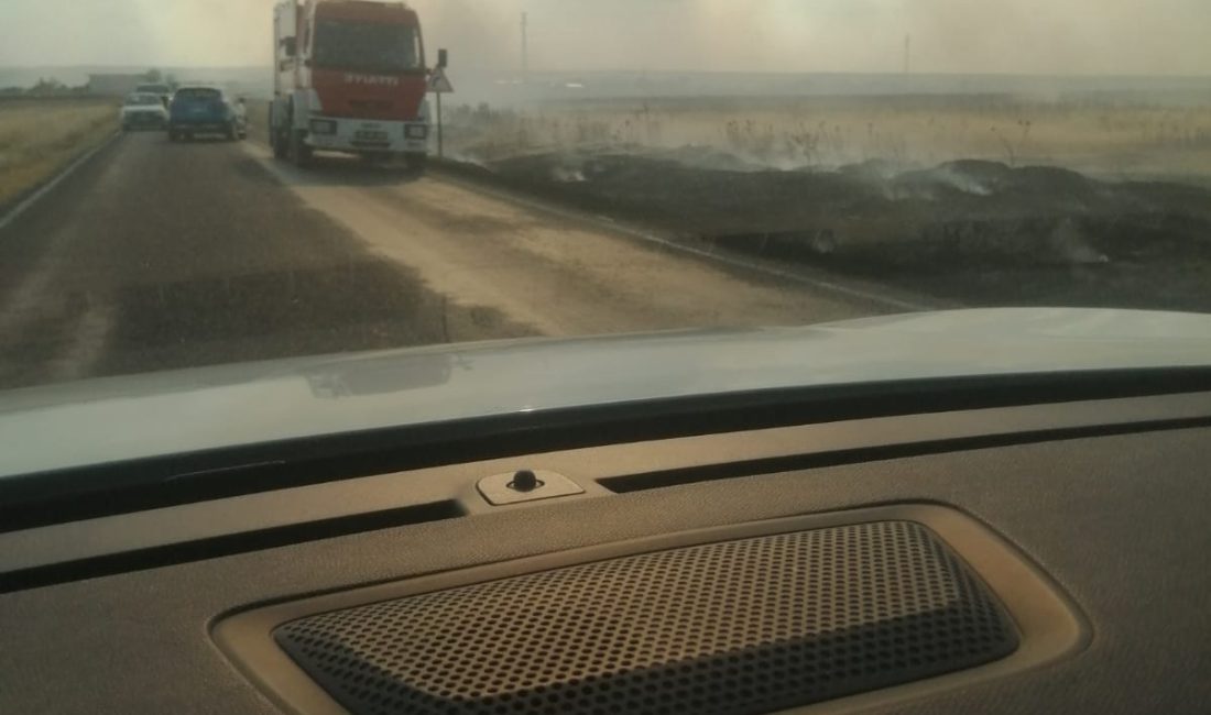 Tekirdağ’ın Hayrabolu ve Muratlı ilçeleri arasındaki Dambaslar mevkiinde çıkan tarla
