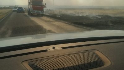 Tekirdağ’ın Hayrabolu ve Muratlı ilçeleri arasındaki Dambaslar mevkiinde çıkan tarla