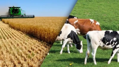 Tekirdağ’ın tarım ve hayvancılıkta önemli merkezlerinden biri olan Hayrabolu, 2024