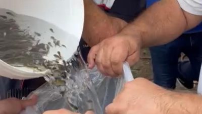 Hayrabolu ilçesindeki Çerkezmüsellim Göleti, geleceğe umutla bakıyor. Tarım ve Orman