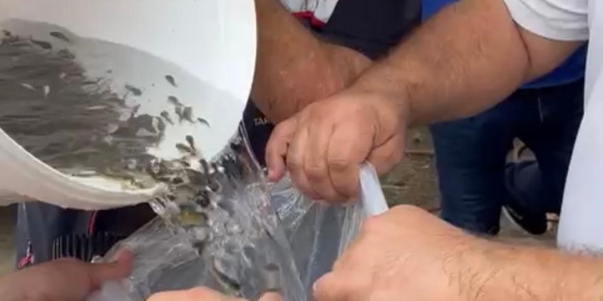 Hayrabolu ilçesindeki Çerkezmüsellim Göleti, geleceğe umutla bakıyor. Tarım ve Orman