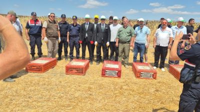 İl Tarım ve Orman Müdürlüğü sorumluluk alanında bulunan Hayrabolu ilçesinde,