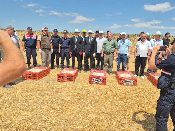 İl Tarım ve Orman Müdürlüğü sorumluluk alanında bulunan Hayrabolu ilçesinde,