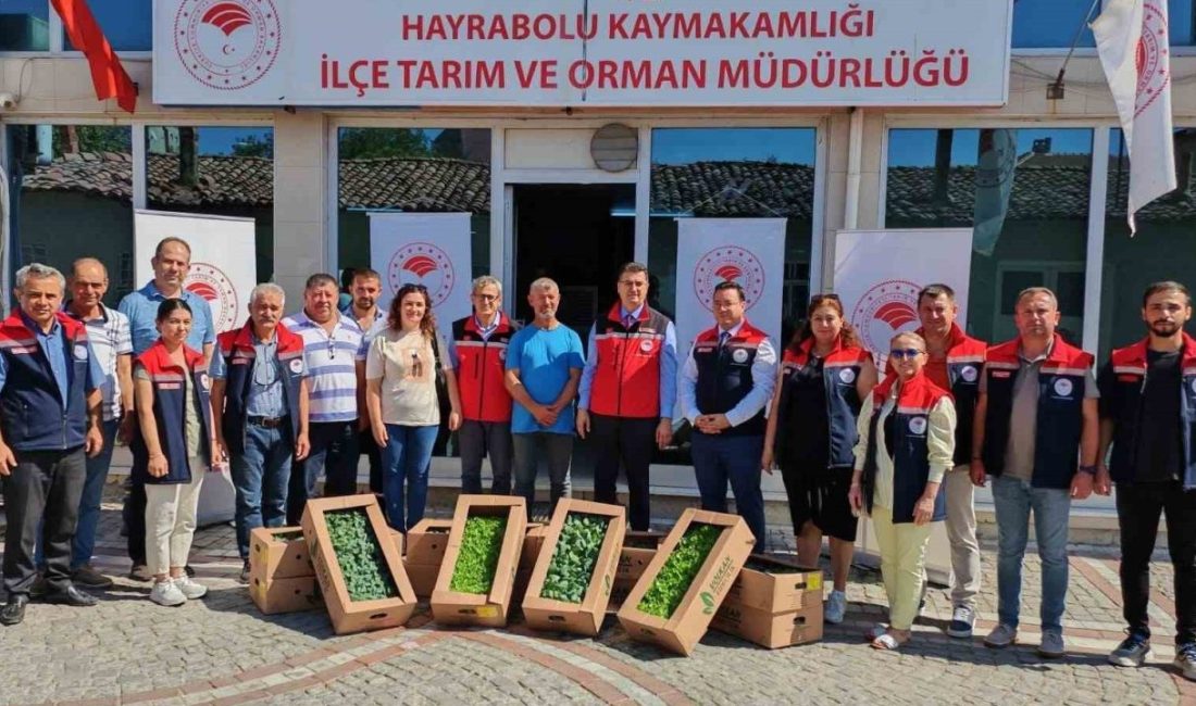 Hayrabolu, tarım ve sağlık alanında iki büyük hamleyle sallanıyor! Genç