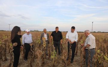 Hayrabolu’da bugün gerçekleştirilen buluşmada belediye başkanı, kuraklıktan olumsuz etkilenen ayçiçeği