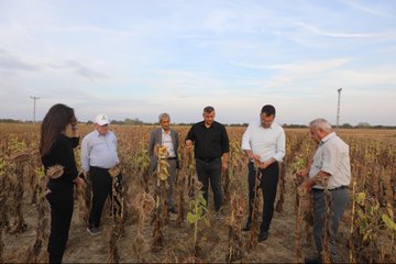 Hayrabolu’da bugün gerçekleştirilen buluşmada belediye başkanı, kuraklıktan olumsuz etkilenen ayçiçeği
