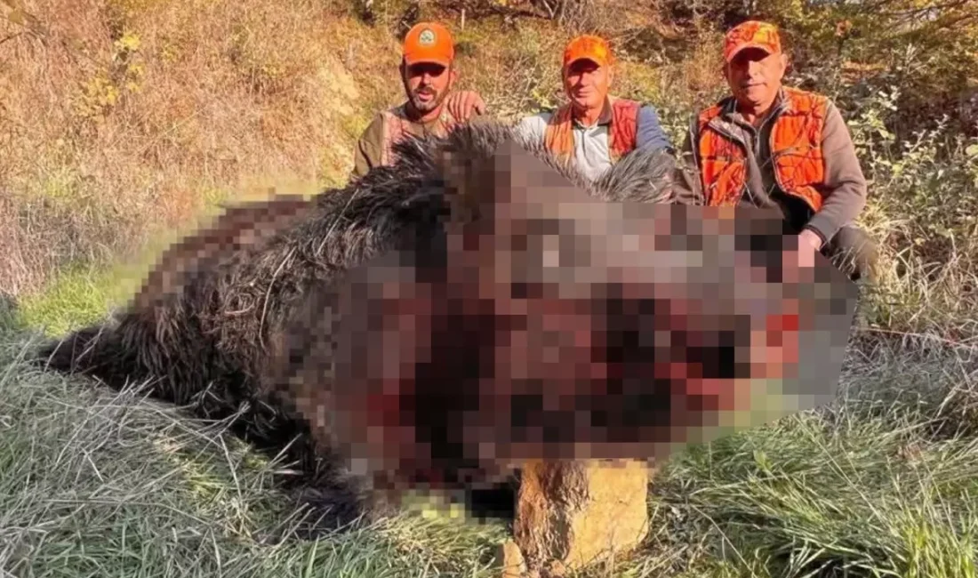 Hayrabolu'da ilçesinde düzenlenen sürek avında, bölgede avcılık yapanların bile daha
