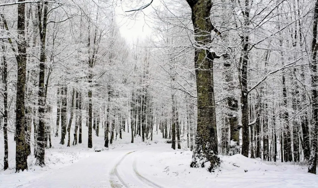 Tekirdağ’ın Malkara ve Şarköy ilçelerinden gelen son dakika haberi velileri