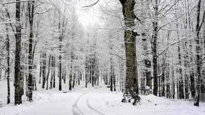 Tekirdağ’ın Malkara ve Şarköy ilçelerinden gelen son dakika haberi velileri