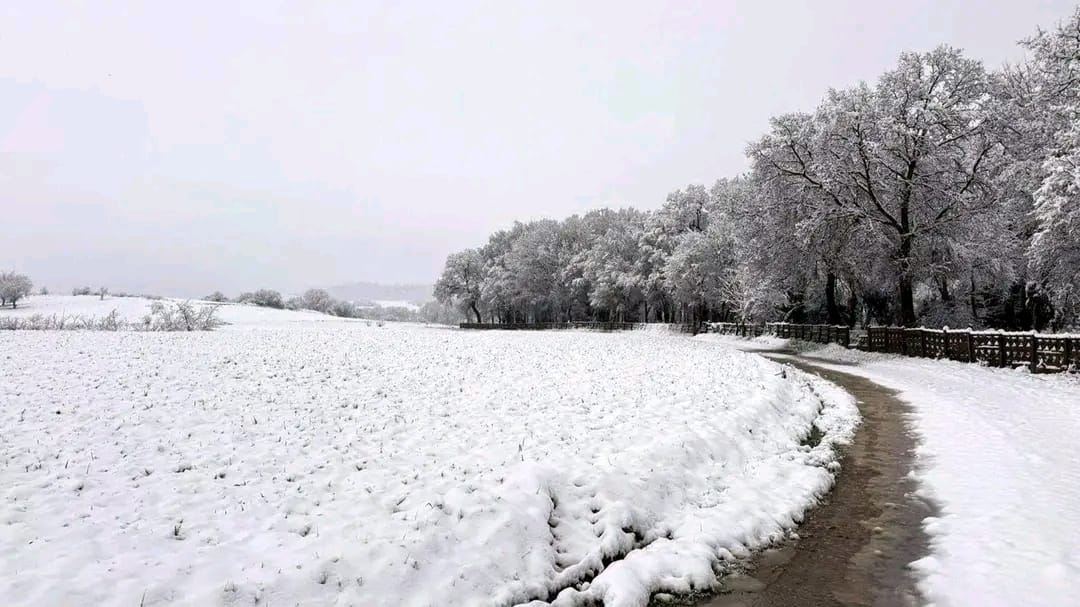 Trakya dondurucu soğukların pençesinde can çekişiyor! Tekirdağ’da gece yarısı aniden