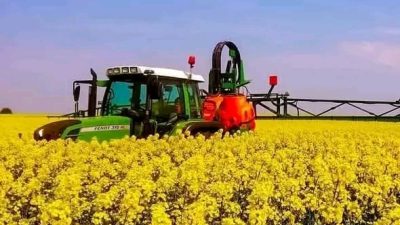 Bölgede kanola bitkisinin çiçek açmaya başlamasıyla birlikte üreticilere önemli bir