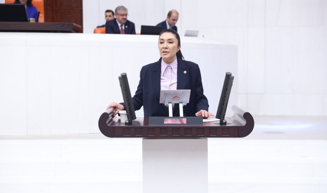 Türkiye Büyük Millet Meclisi (TBMM) Genel Kurulu, bugün tarihi anlardan